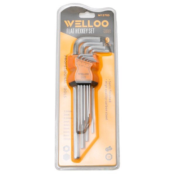 Allen Key Set Flat Head Hex